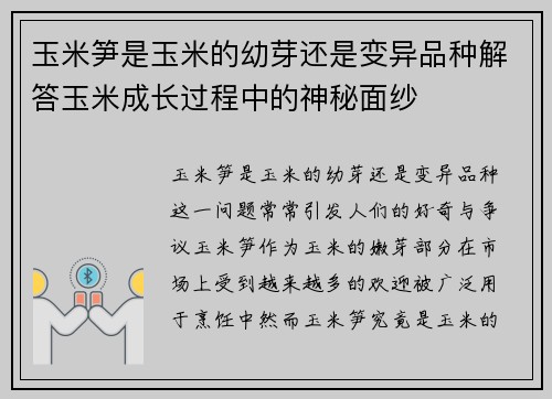 玉米笋是玉米的幼芽还是变异品种解答玉米成长过程中的神秘面纱